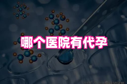 海口助孕网站 1