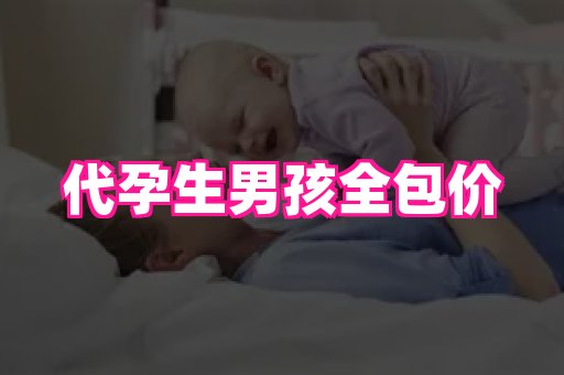 海口助孕网站 2