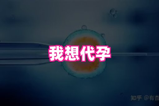 海口助孕网站 3