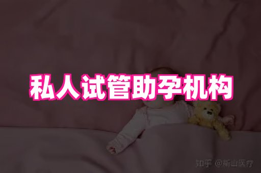 海口助孕网站 4
